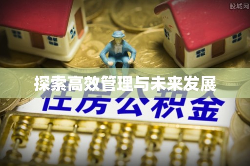 头屯河探索高效管理与未来发展
