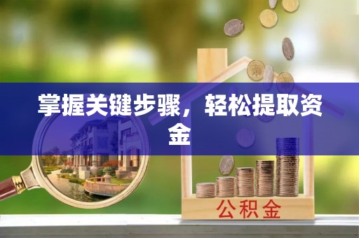 头屯河掌握关键步骤，轻松提取资金