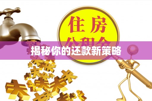 头屯河揭秘你的还款新策略
