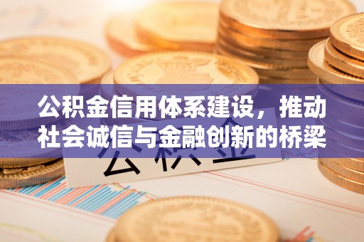 头屯河公积金信用体系建设，推动社会诚信与金融创新的桥梁