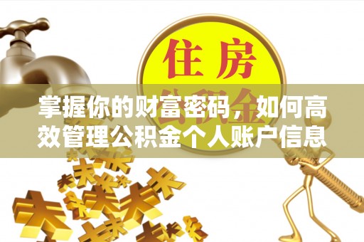头屯河掌握你的财富密码，如何高效管理公积金个人账户信息