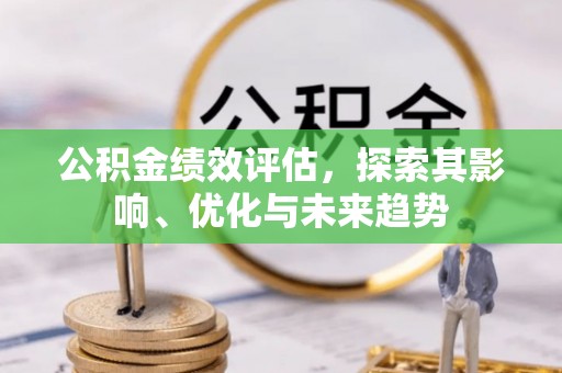 头屯河公积金绩效评估，探索其影响、优化与未来趋势