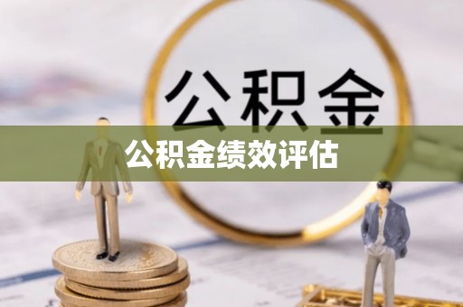 头屯河公积金绩效评估