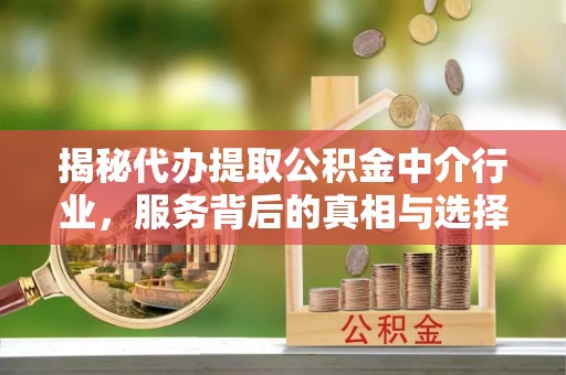 头屯河揭秘代办提取公积金中介行业，服务背后的真相与选择指南