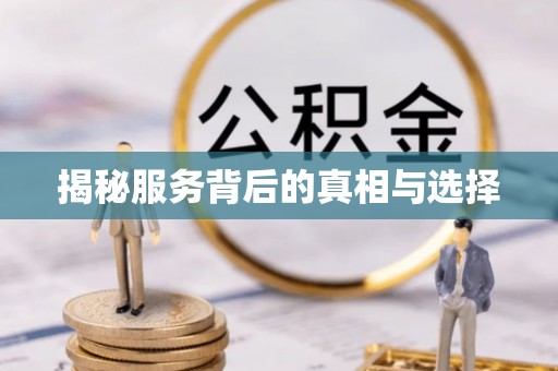 头屯河揭秘服务背后的真相与选择