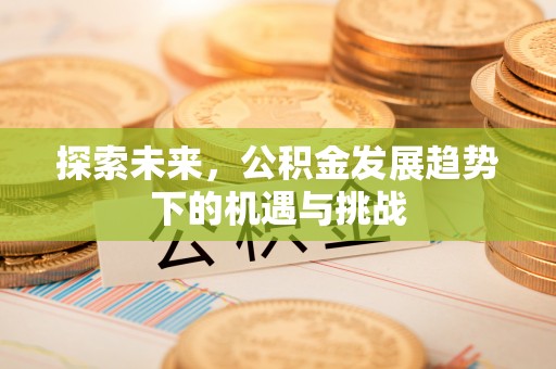 头屯河探索未来，公积金发展趋势下的机遇与挑战