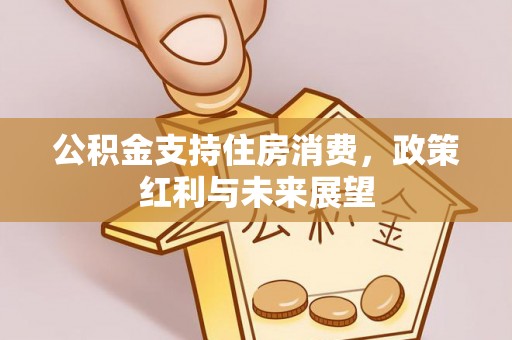 头屯河公积金支持住房消费，政策红利与未来展望