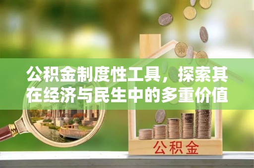 头屯河公积金制度性工具，探索其在经济与民生中的多重价值