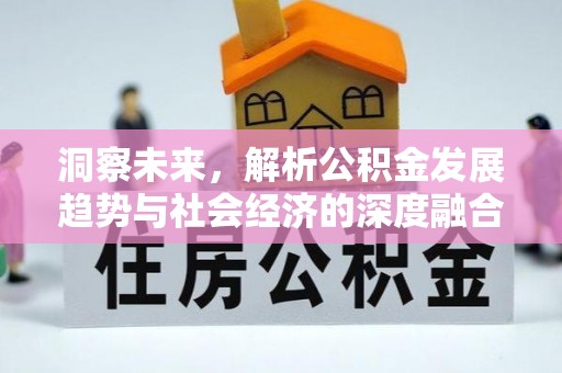 头屯河洞察未来，解析公积金发展趋势与社会经济的深度融合