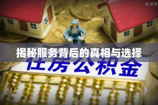 头屯河揭秘服务背后的真相与选择
