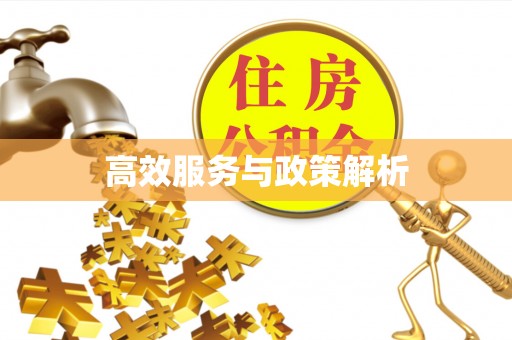 头屯河高效服务与政策解析