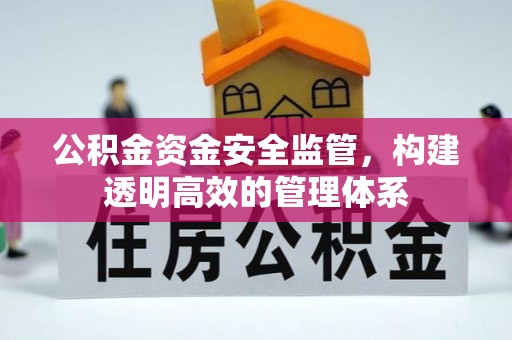 头屯河公积金资金安全监管，构建透明高效的管理体系