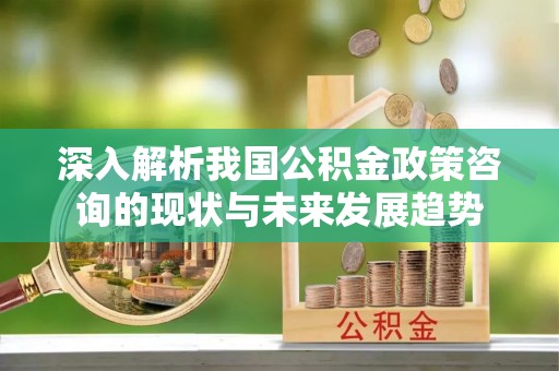 头屯河深入解析我国公积金政策咨询的现状与未来发展趋势