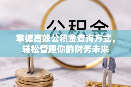头屯河掌握高效公积金查询方式，轻松管理你的财务未来