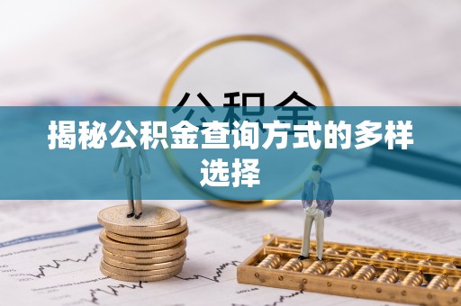 头屯河揭秘公积金查询方式的多样选择