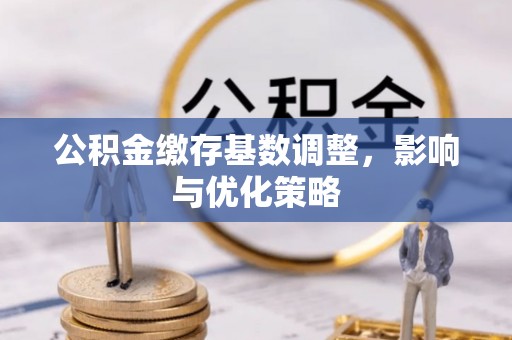 头屯河公积金缴存基数调整，影响与优化策略