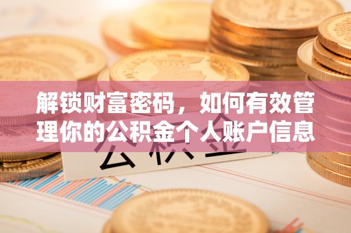 头屯河解锁财富密码，如何有效管理你的公积金个人账户信息
