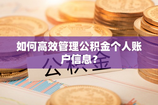 头屯河如何高效管理公积金个人账户信息？