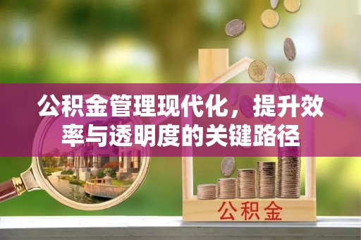 头屯河公积金管理现代化，提升效率与透明度的关键路径