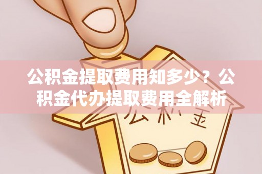 头屯河公积金提取费用知多少？公积金代办提取费用全解析