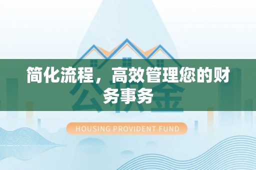 头屯河简化流程，高效管理您的财务事务