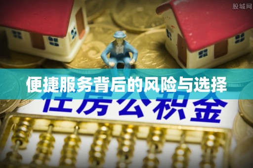 头屯河便捷服务背后的风险与选择