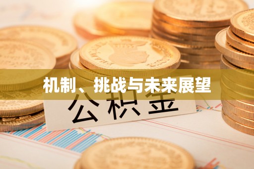 头屯河机制、挑战与未来展望